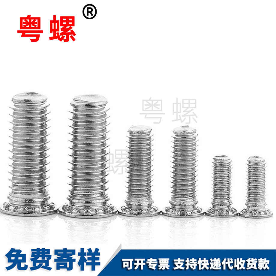 壓板螺絲 壓板螺絲