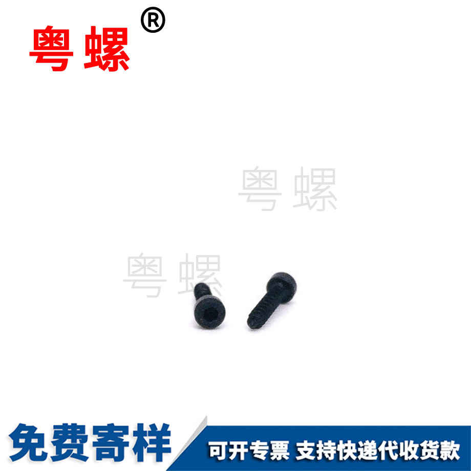 批發(fā)杯頭內(nèi)角山東自攻螺絲