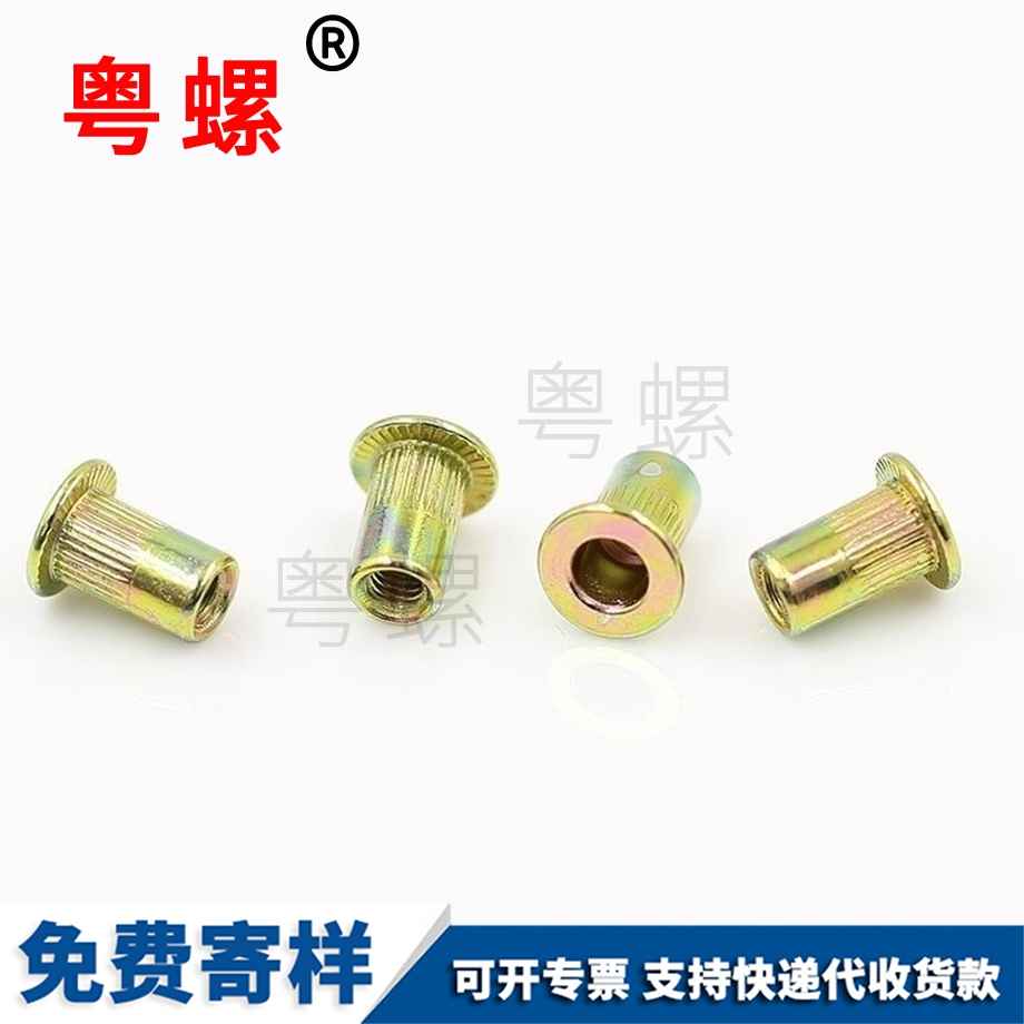 臨滄平頭圓柱鉚螺母