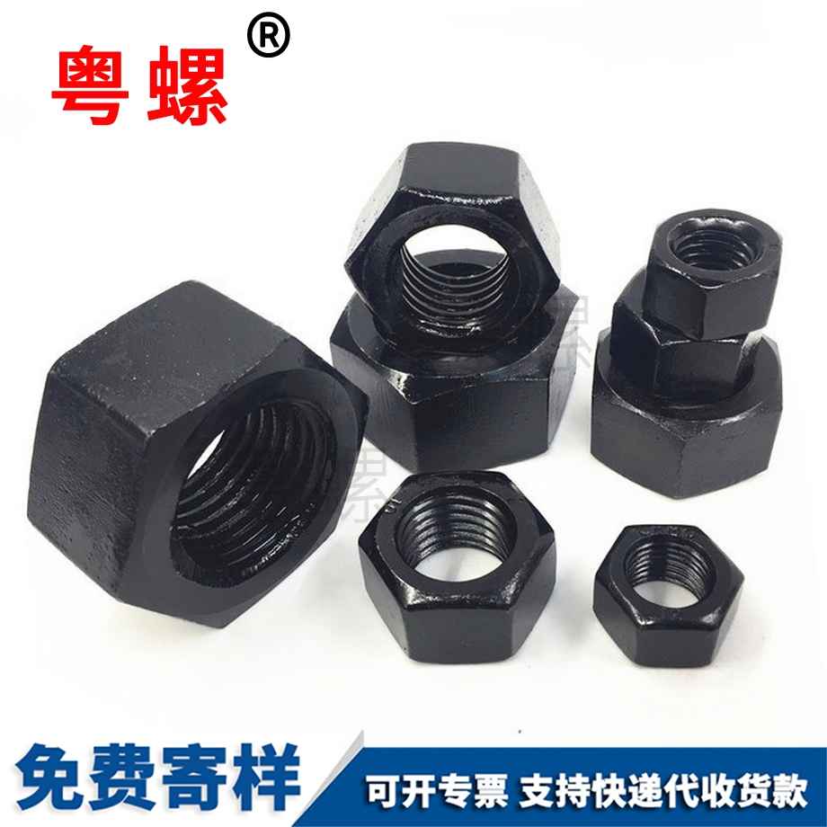 定制12級(jí)臨滄細(xì)牙臨滄六角螺母