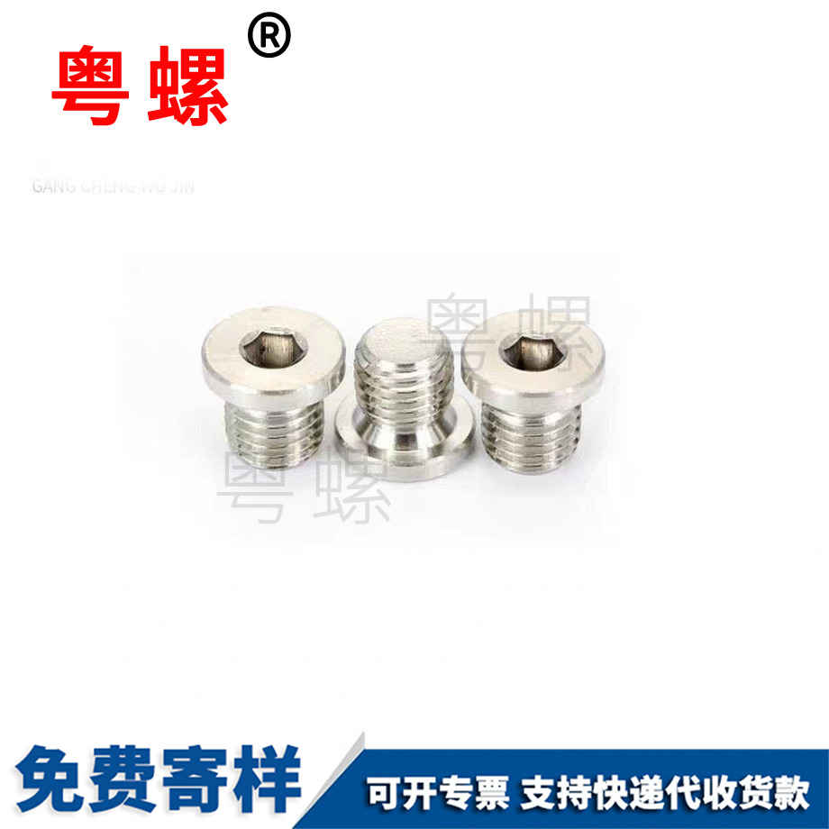 定制內(nèi)六角帶邊榆林堵頭