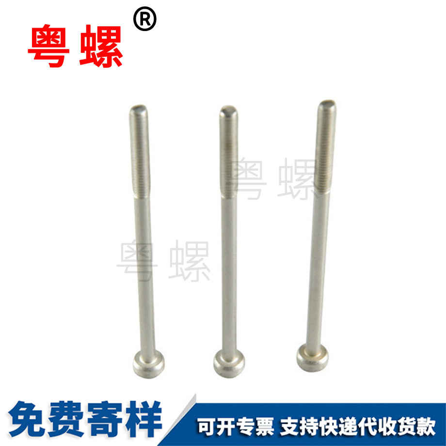 定制不銹鋼瓊海防盜螺絲