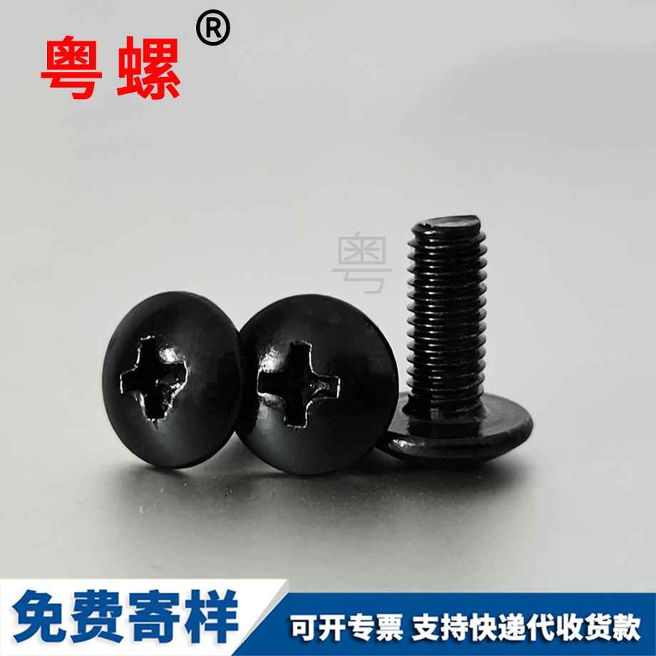 西雙版納大扁頭螺絲 西雙版納大扁頭螺絲