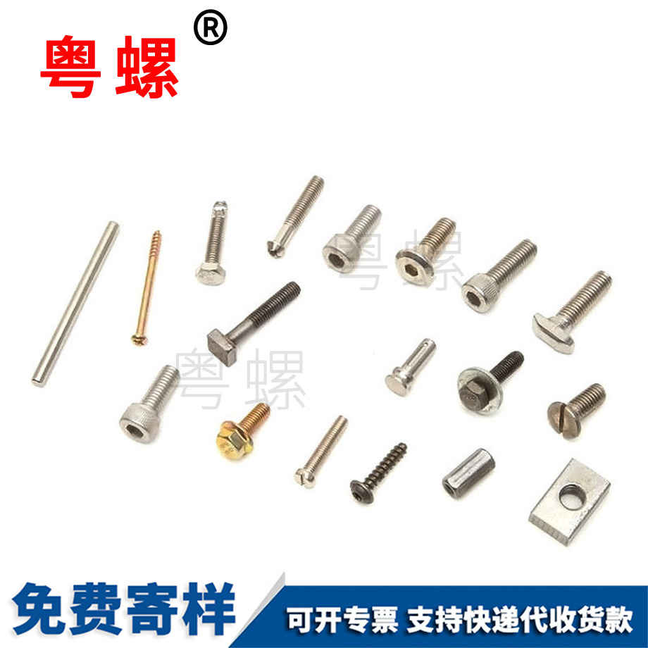 供應(yīng)拉薩非標(biāo)螺絲