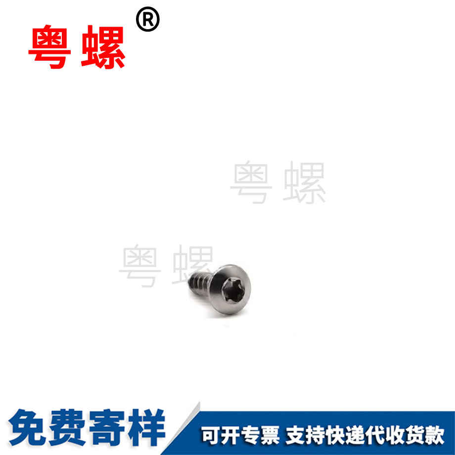 定制梅花穴牡丹江自攻螺釘