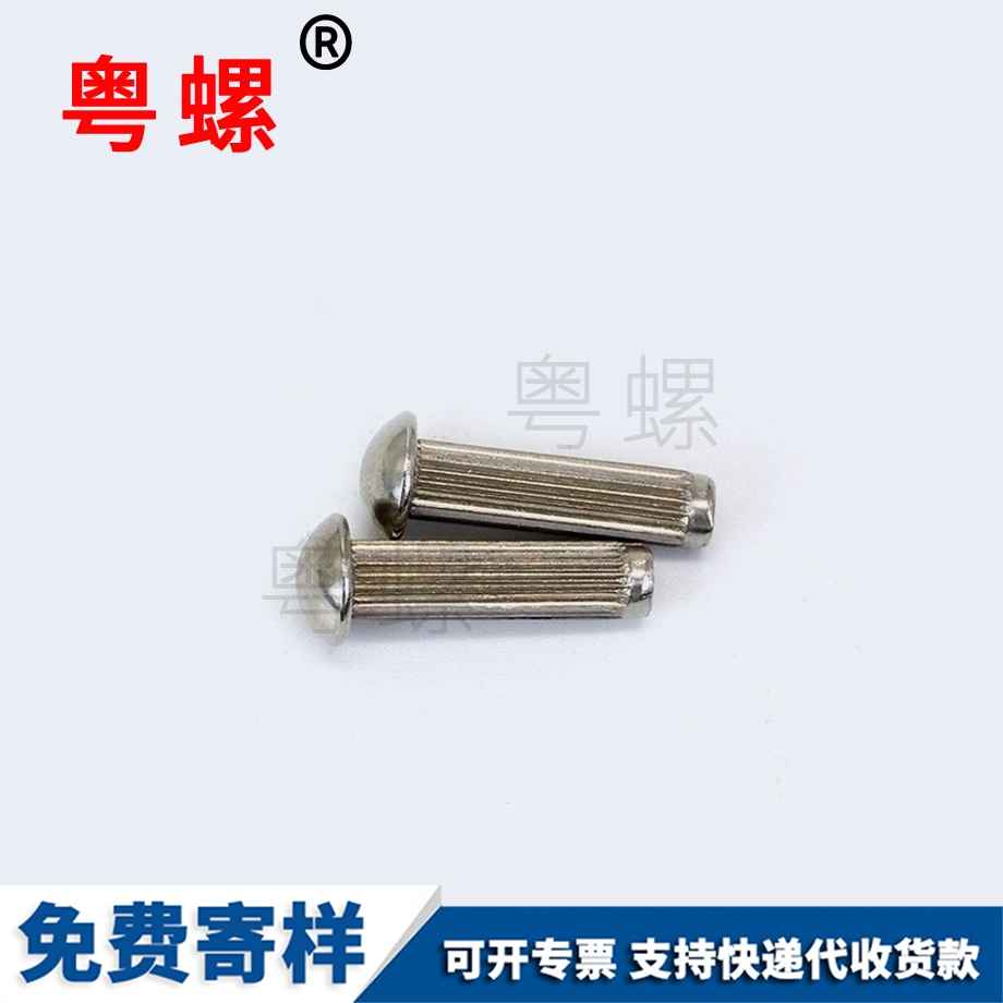 西雙版納平頭鉚釘