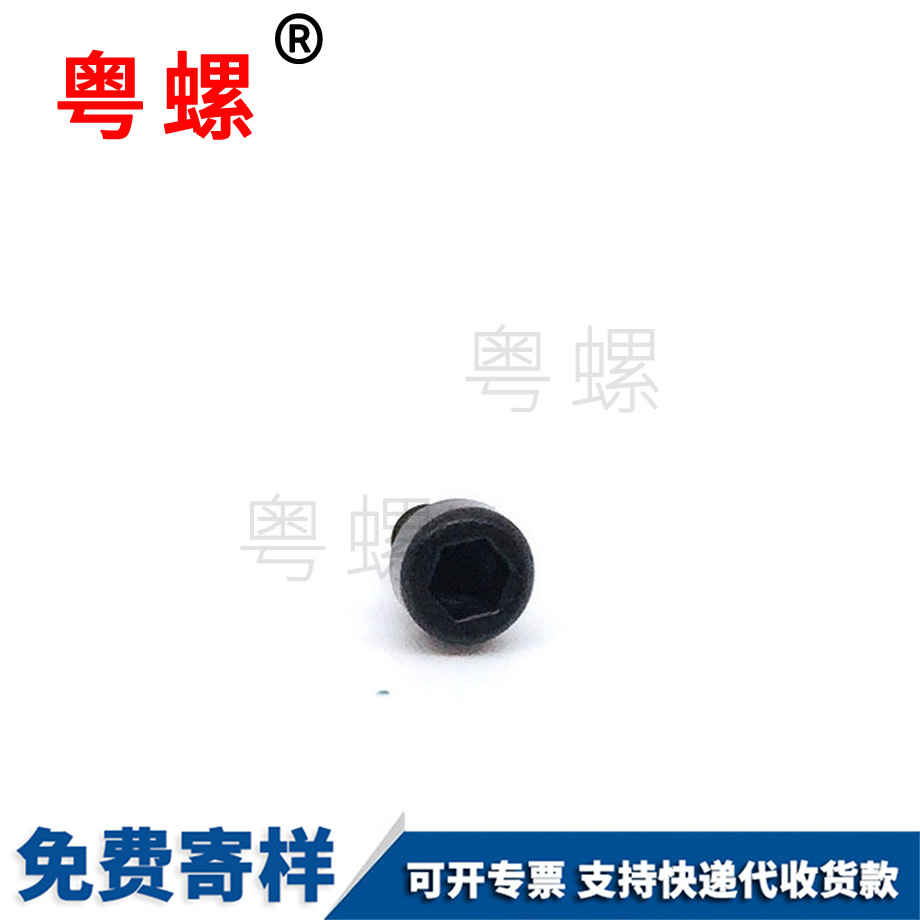 生產(chǎn)杯頭梅花邯鄲自攻螺絲