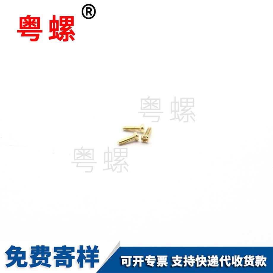 非標九龍坡眼鏡框螺絲