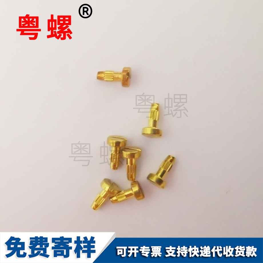 供應鐘表邯鄲螺絲釘