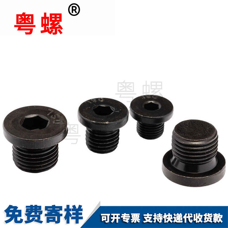 訂制內(nèi)六角法蘭面河北堵頭