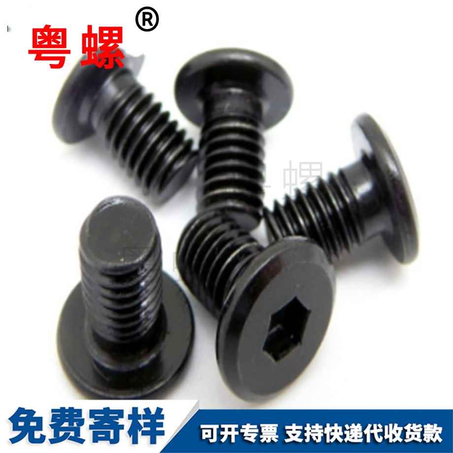 非標(biāo)黑鋅平頭內(nèi)六角緊定 非標(biāo)黑鋅平頭內(nèi)六角緊定