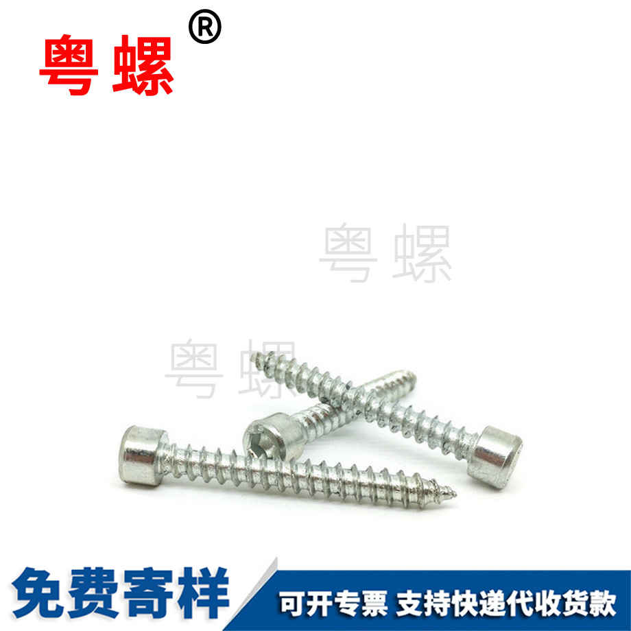 牡丹江牡丹江帶墊牡丹江自攻螺釘 牡丹江牡丹江帶墊牡丹江自攻螺釘