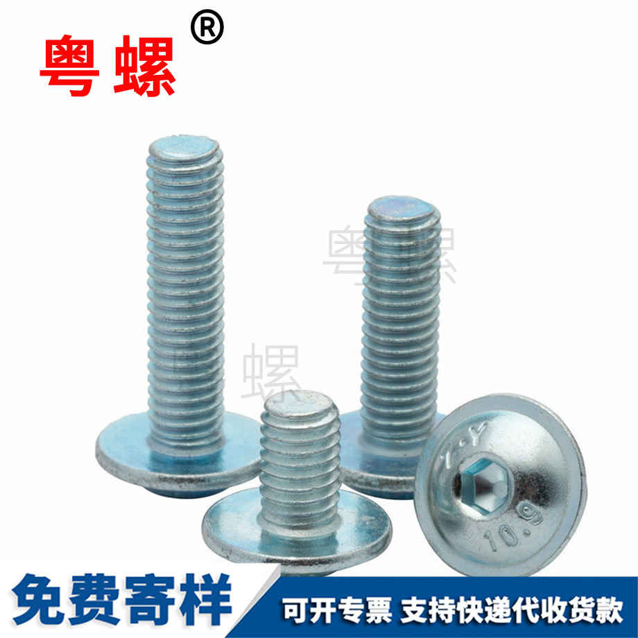 帶墊圓杯 帶墊圓杯