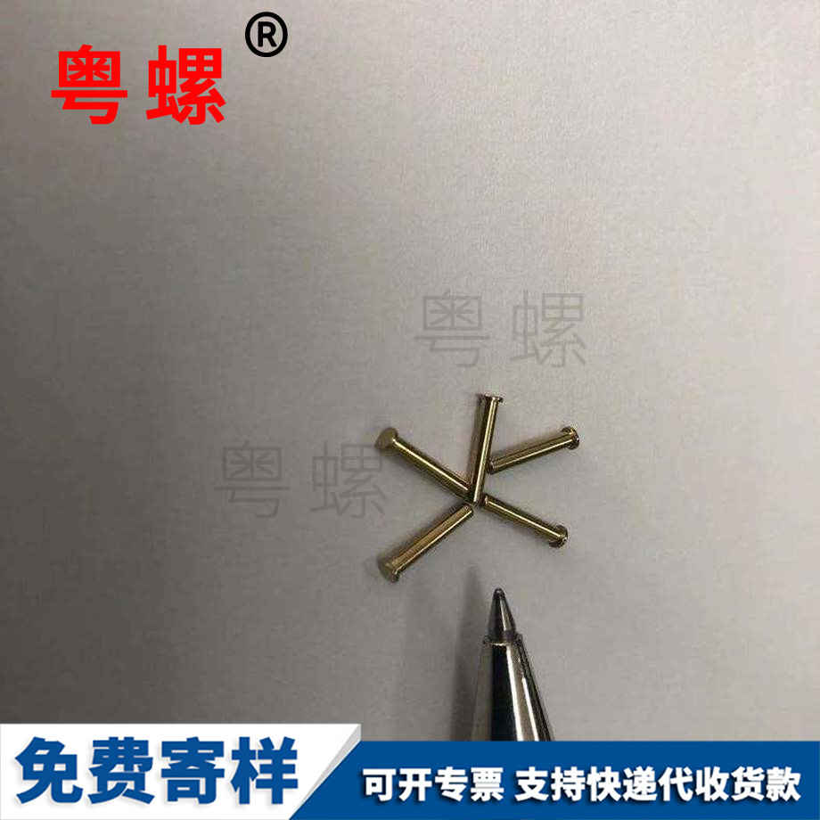 國標梁平銅螺釘