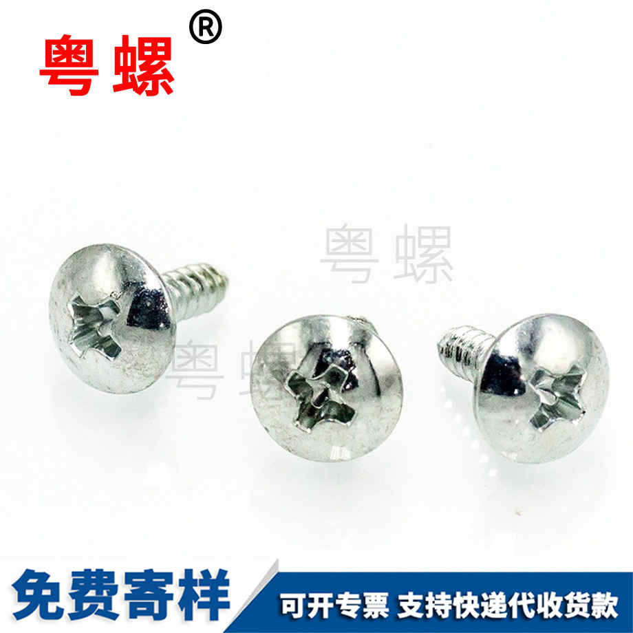 定做大扁頭大頭臨滄自攻釘