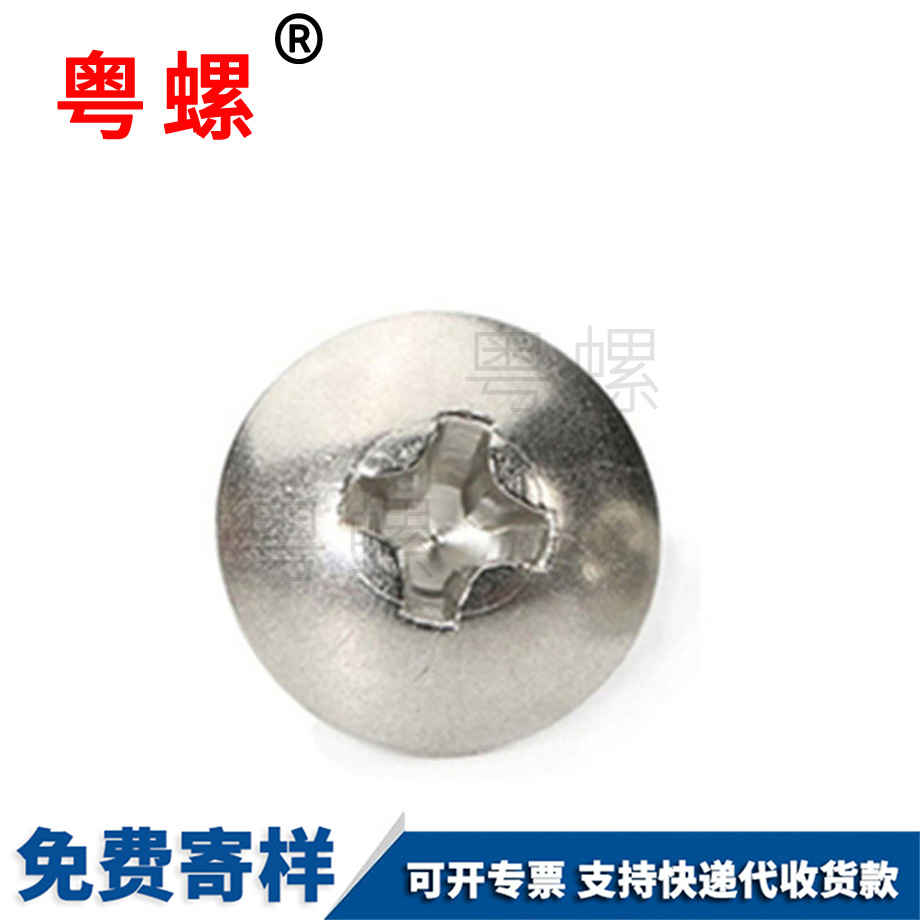 十字扁頭平尾西雙版納自攻釘 十字扁頭平尾西雙版納自攻釘